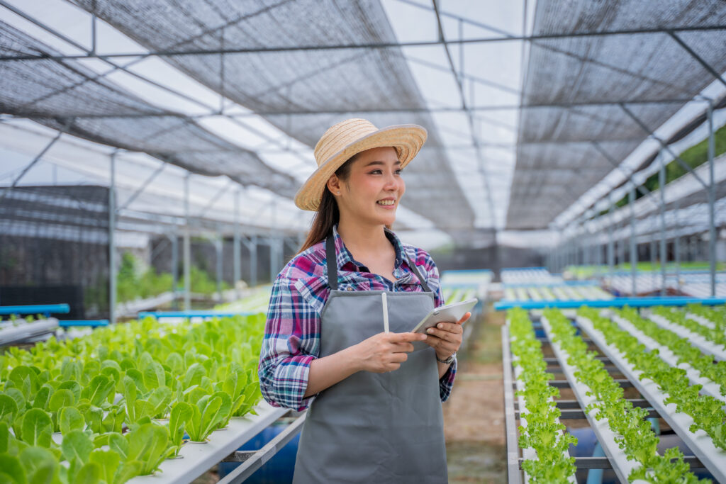 Şehirde Taze ve Sağlıklı Gıdaya Erişim
