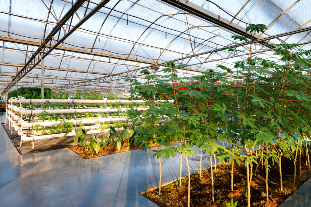 IoT Destekli Dikey Çiftlikler: Akıllı Tarımın Geleceği